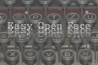 A Striking Serifed Open Face Font for Bold Branding