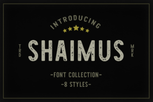 A Vintage Display Font for Branding with Character