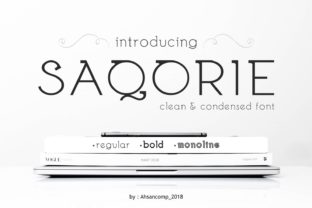Saqorie Family: A Clean Display Font for Campaigns